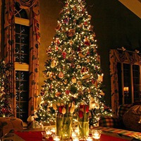 Лилия Бикбаева