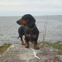 Сашенька Смирнова | Санкт-Петербург