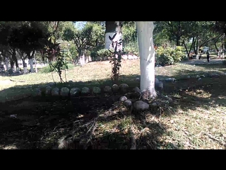 De paso en el Parque Cuscatlán.