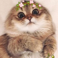 Кошечка Мяу | 