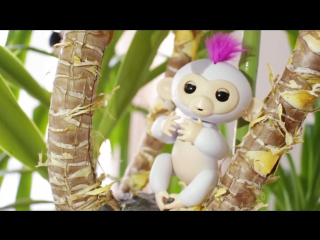 Интерактивные обезьянки Fingerlings Baby Monkeys