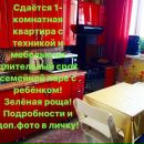 Объявление от Альбина - фото №1