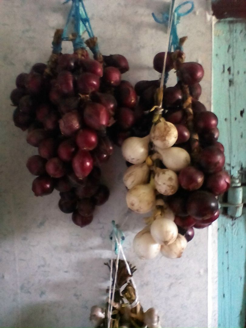 фотография из вКонтакта