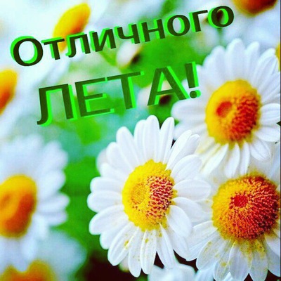 https://pp.userapi.com/c639221/v639221693/28a70/ULLcYC6e-wA.jpg?ava=1
