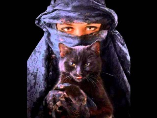 Desert Rose-Sting & Cheb Mami (arabic remix)