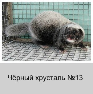 Черный хрусталь