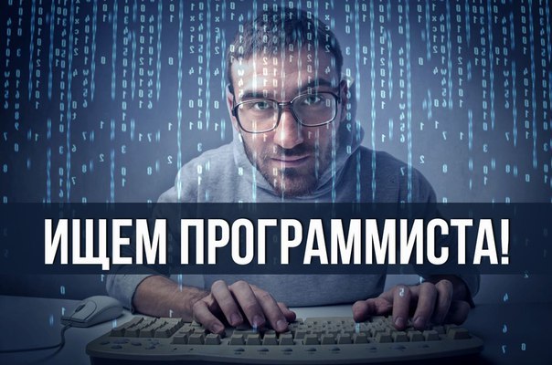 ищу программиста в москве ищу программиста в москве