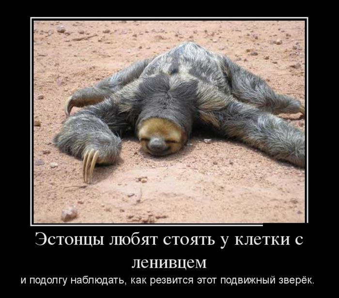 https://pp.userapi.com/c639228/v639228841/1a33c/PjEviyg5lRw.jpg