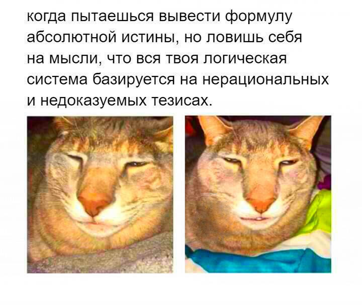 uvl5AbTrWUA.jpg