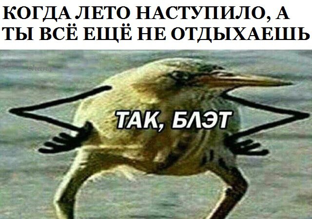 2QgbT4_PDRk.jpg