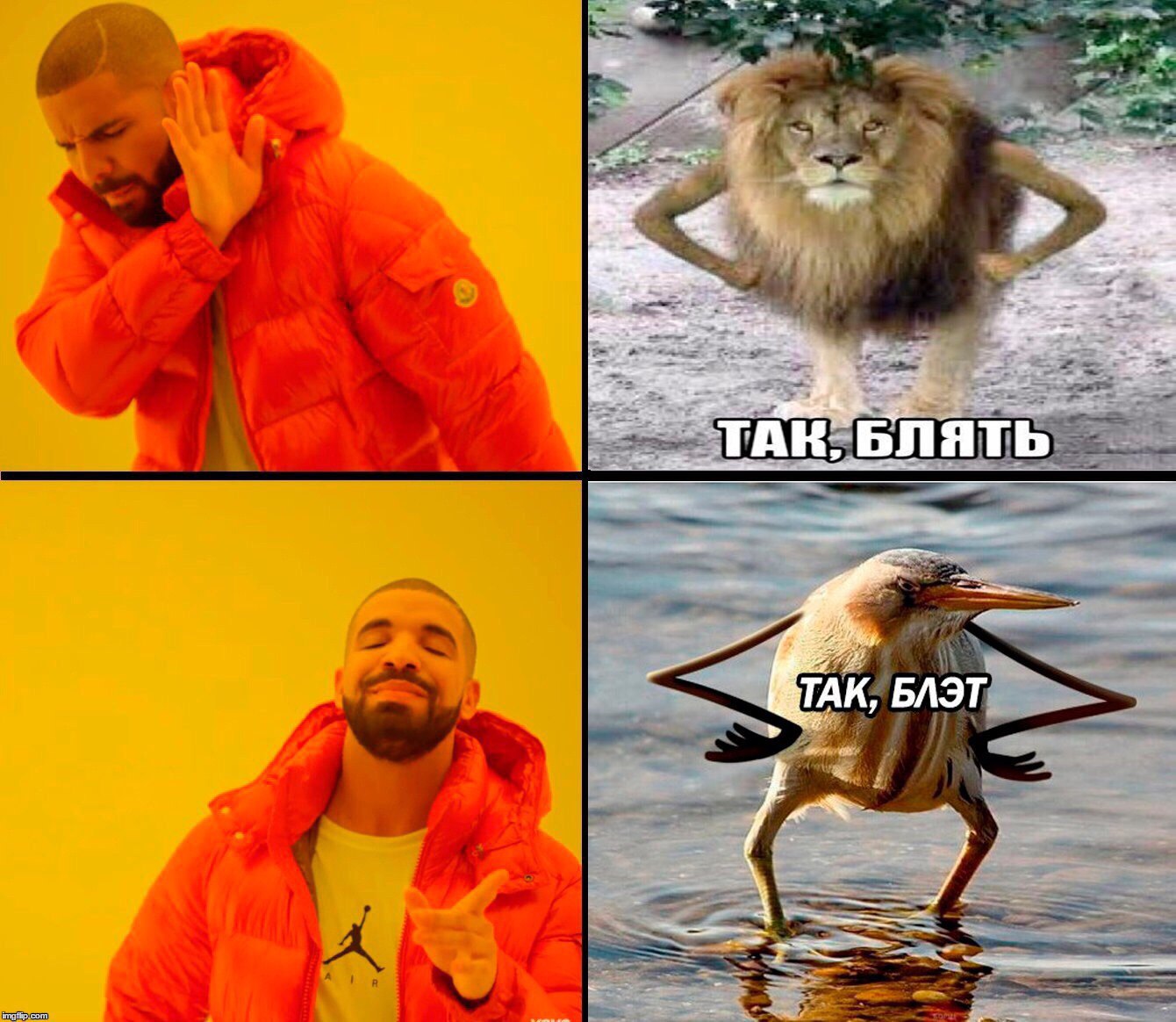 jDzJcDnfrLs.jpg