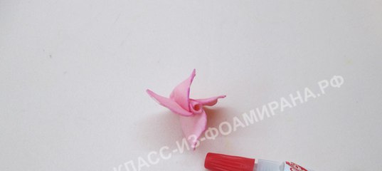 Бегония из фоамирана мастер класс Бегония из фоамирана мастер класс
