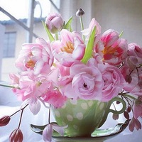 Ирина Дерновая | 