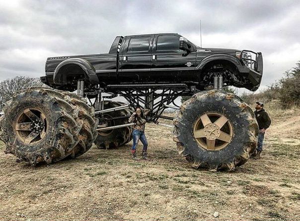 Ух! Зверюга! 