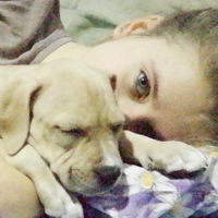 Денис Шпилка