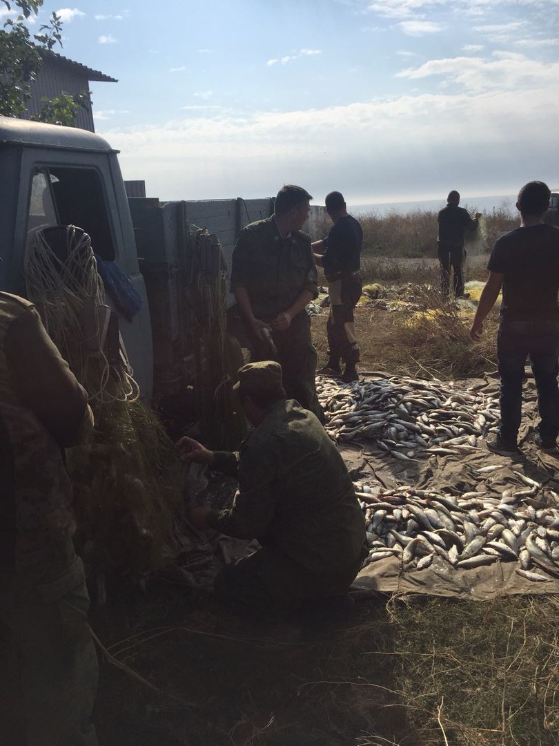 Пограничный наряд управления ФСБ задержал браконьеров в Петрушино с 500 кг шемаи