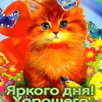 Светлана Пак | Красноярск
