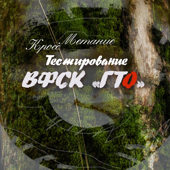 Тестирование ВФСК ГТО