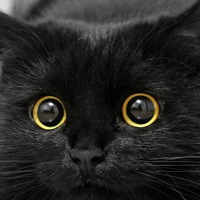 Наталия Грузнова