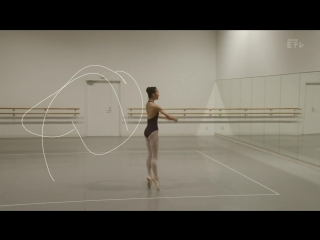 ballet rotoscope 2355