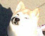 HOmx_wfnBZM.jpg