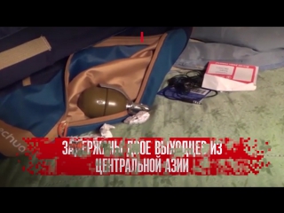 ФСБ задержала боевиков ИГИЛ