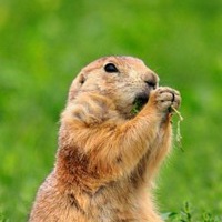 Ирина Красавина | Арзамас