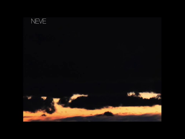 Posternak - Neve