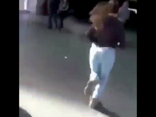 Паучье чутьё