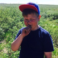 Илья Стрелков | Sankt Pölten