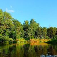 Артур Петров