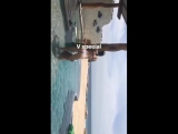 BH, BR® — Bella Hadid e Jesse Jo Stark em Cabo San Lucas, México.
