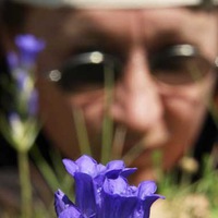 Ольга Бедарева