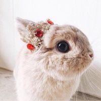 Екатерина Сухова | Москва
