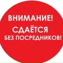 Объявление от Ekaterina - фото №1