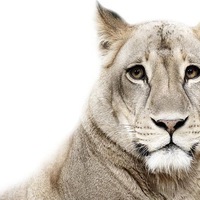 Елена Беленькая | Москва