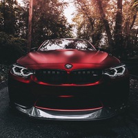 Денис Дмитренко | 