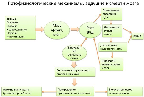  Наглядная лекция 