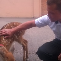 Вячеслав Борисов | Москва