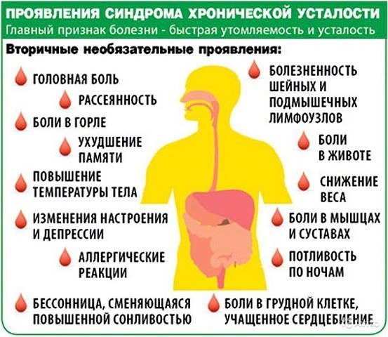 Синдром хронической усталости. Пятерка лучших рецептов. 