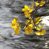 Марина Гартман