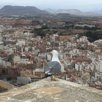 Филипп Харенко