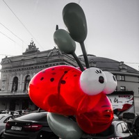 Матвеева Анна | Минск