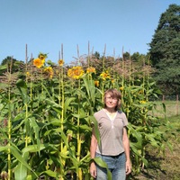 Наталья Гурова