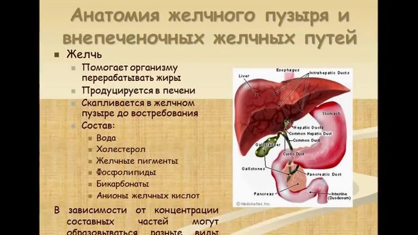 Камни в желчном пузыре - лечение народными методами