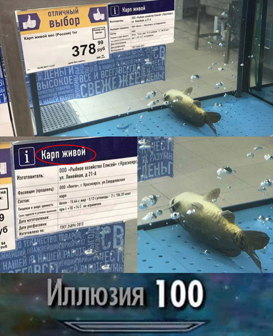 https://pp.userapi.com/c639423/v639423868/5172e/44IEZTiwwUU.jpg