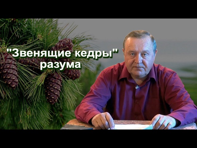 2017-10-07 Звенящие кедры разума
