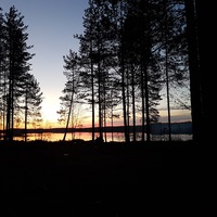 Алина Колокольникова