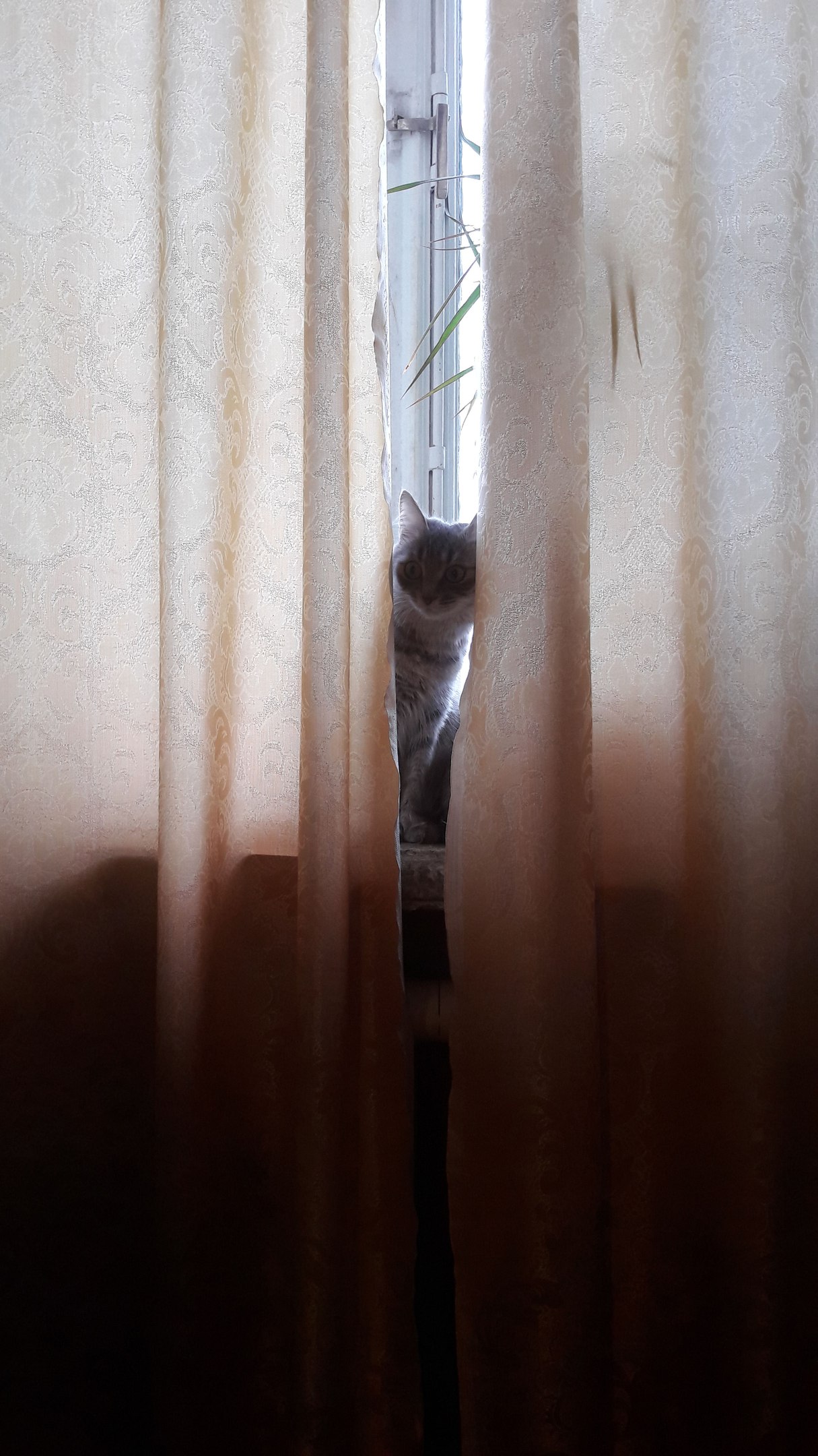 https://pp.userapi.com/c639425/v639425534/26823/eqjPzVRs3z0.jpg