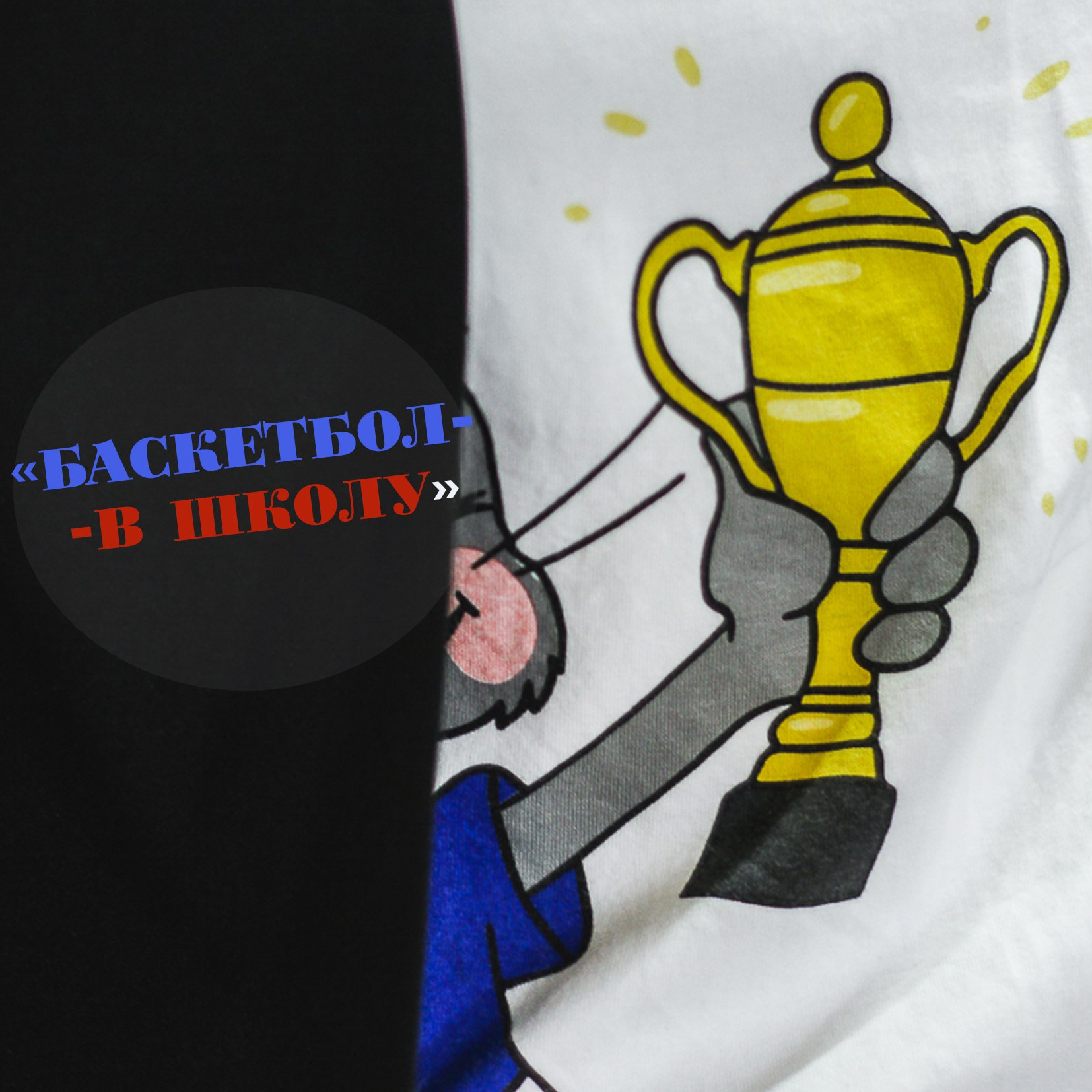 Баскетбол в школу